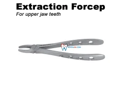 Extraction Forceps Extraction Forceps Adult